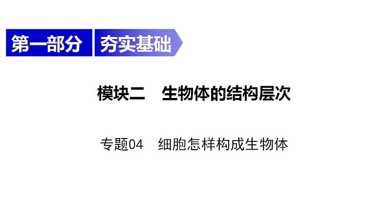 中考生物一轮复习精讲课件-- 细胞怎样构成生物体第1页