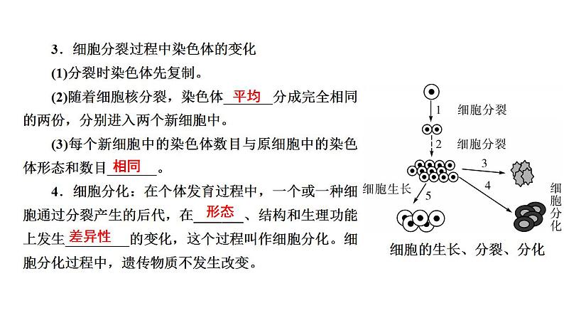 中考生物一轮复习精讲课件-- 细胞怎样构成生物体第6页