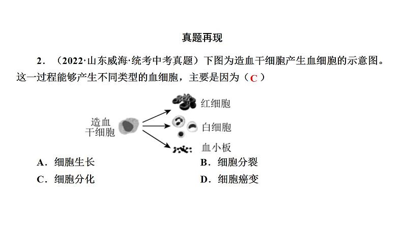 中考生物一轮复习精讲课件-- 细胞怎样构成生物体第8页