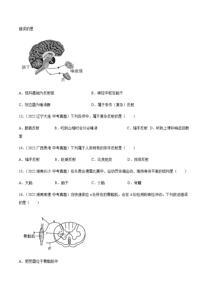 专题11 人体生命活动的调节（习题帮）-备战2023年中考生物一轮复习考点帮（全国通用）03