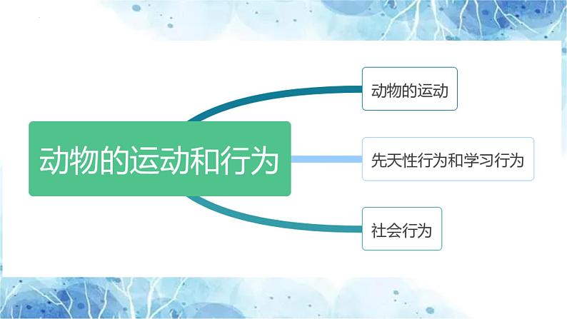 专题13 动物的运动和行为（课件帮）-备战2023年中考生物一轮复习考点帮（全国通用）02