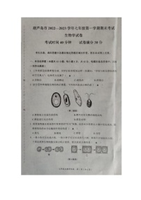 辽宁省葫芦岛市2022-2023学年七年级上学期期末生物试题