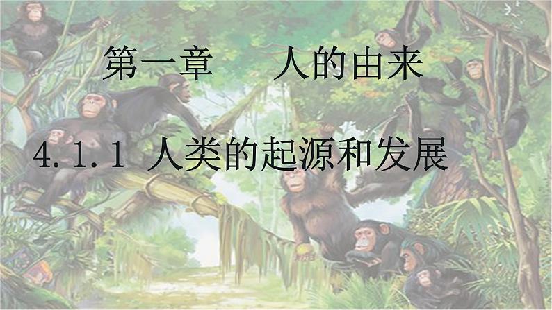 4.1.1 人类的起源和发展-【备课优选】2022-2023学年七年级下册生物同步优质课件（人教版七下）01