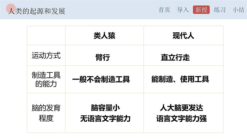 4.1.1 人类的起源和发展-【备课优选】2022-2023学年七年级下册生物同步优质课件（人教版七下）06