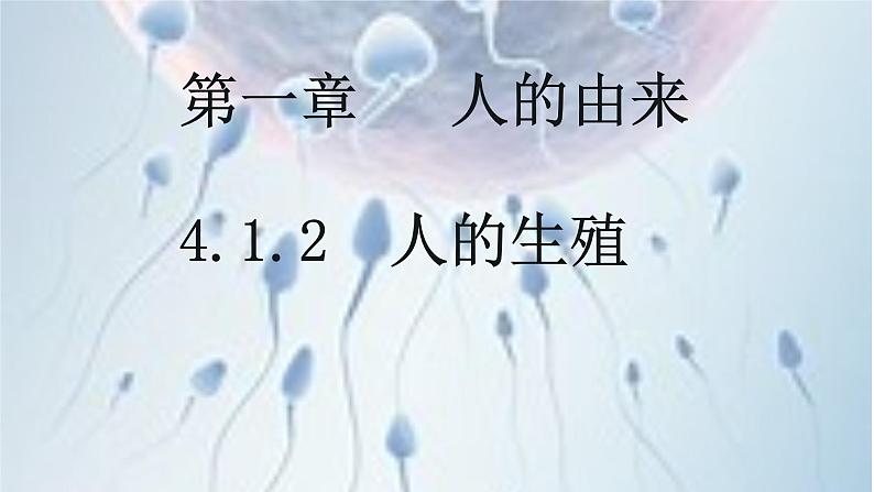 4.1.2 人的生殖-【备课优选】2022-2023学年七年级下册生物同步优质课件（人教版七下）01