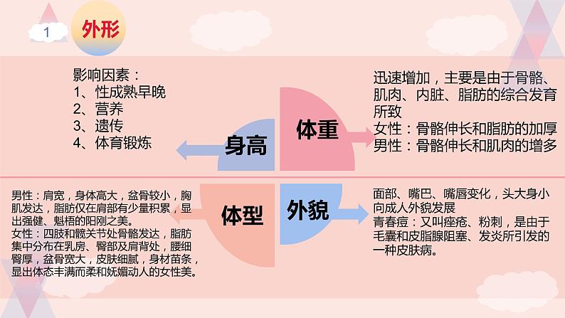 4.1.3 青春期-【备课优选】2022-2023学年七年级下册生物同步优质课件（人教版七下）07