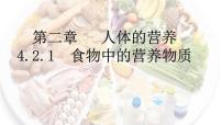 人教版 (新课标)七年级下册第一节 食物中的营养物质优质备课课件ppt