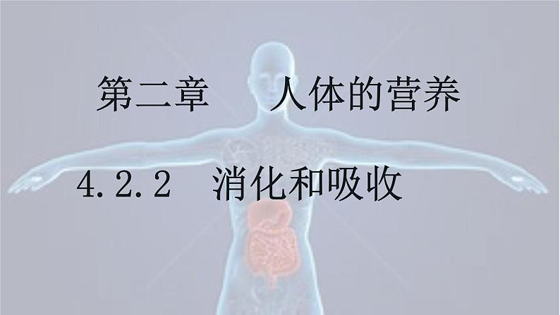 4.2.2 消化和吸收-【备课优选】2022-2023学年七年级下册生物同步优质课件（人教版七下）第1页