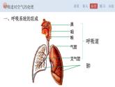 4.3.1 呼吸道对空气的处理-【备课优选】2022-2023学年七年级下册生物同步优质课件（人教版七下）