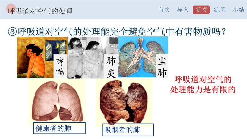 4.3.1 呼吸道对空气的处理-【备课优选】2022-2023学年七年级下册生物同步优质课件（人教版七下）07