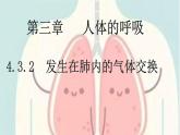 4.3.2 发生在肺内的气体交换-【备课优选】2022-2023学年七年级下册生物同步优质课件（人教版七下）