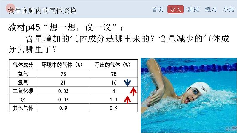 4.3.2 发生在肺内的气体交换-【备课优选】2022-2023学年七年级下册生物同步优质课件（人教版七下）02