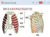 4.3.2 发生在肺内的气体交换-【备课优选】2022-2023学年七年级下册生物同步优质课件（人教版七下）