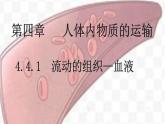 4.4.1 流动的组织—血液-【备课优选】2022-2023学年七年级下册生物同步优质课件（人教版七下）