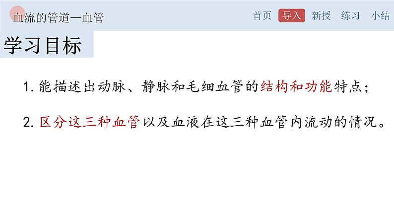 4.4.2 血流的管道—血管-【备课优选】2022-2023学年七年级下册生物同步优质课件（人教版七下）03