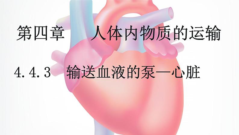 4.4.3 输送血液的泵—心脏-【备课优选】2022-2023学年七年级下册生物同步优质课件（人教版七下）01