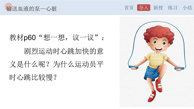 4.4.3 输送血液的泵—心脏-【备课优选】2022-2023学年七年级下册生物同步优质课件（人教版七下）02