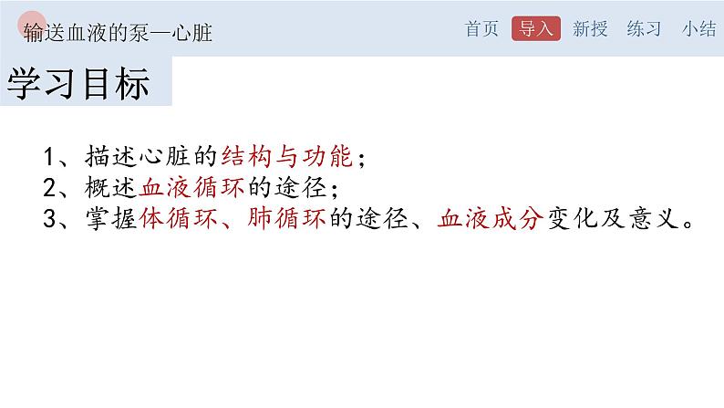 4.4.3 输送血液的泵—心脏-【备课优选】2022-2023学年七年级下册生物同步优质课件（人教版七下）03