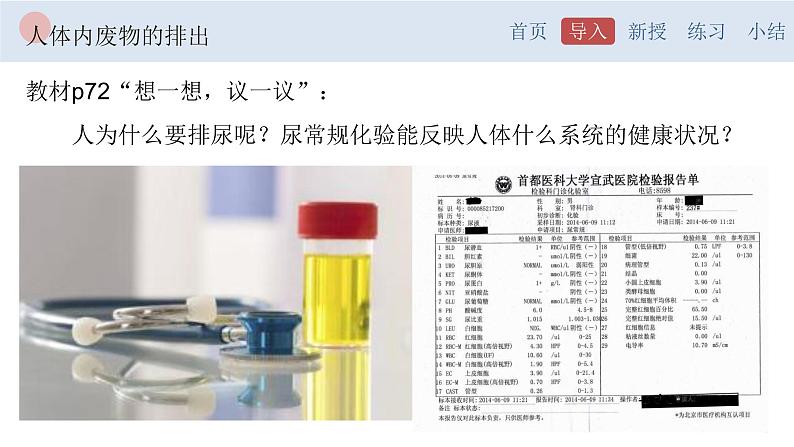 4.5 人体内废物的排出-【备课优选】2022-2023学年七年级下册生物同步优质课件（人教版七下）02