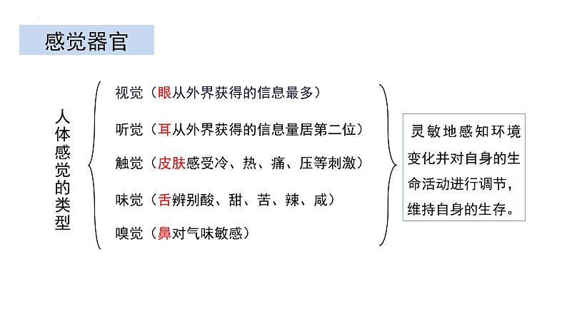 4.6.1 人体对外界环境的感知-【备课优选】2022-2023学年七年级下册生物同步优质课件（人教版七下）04