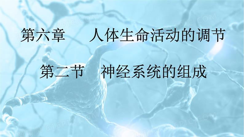 4.6.2 神经系统的组成-【备课优选】2022-2023学年七年级下册生物同步优质课件（人教版七下）01