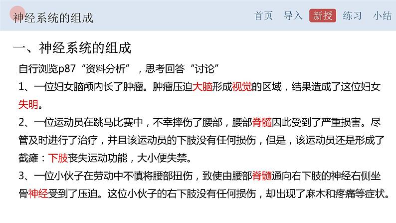 4.6.2 神经系统的组成-【备课优选】2022-2023学年七年级下册生物同步优质课件（人教版七下）04