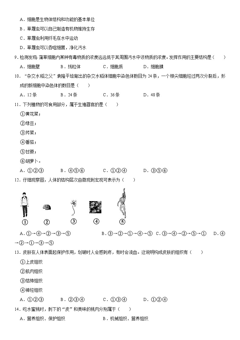广东省湛江市徐闻县2022-2023学年七年级上学期期末生物试卷（含答案）第2页