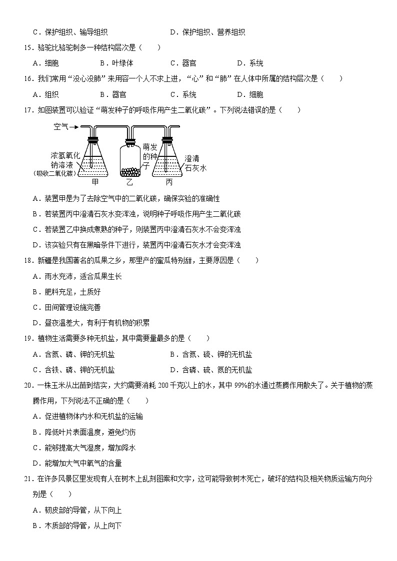 广东省湛江市徐闻县2022-2023学年七年级上学期期末生物试卷（含答案）第3页