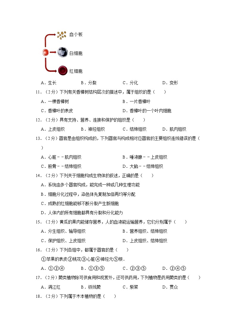 河北省承德市承德县2022-2023学年七年级上学期期末生物试卷（含答案）第3页