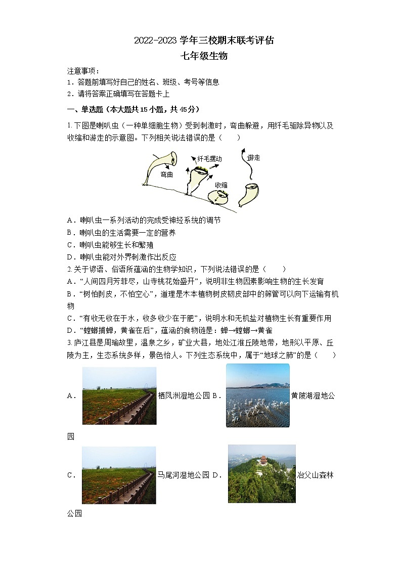 湖南省益阳市安化县小淹镇三校联考2022-2023学年七年级期末联考评估生物试题（含答案）01