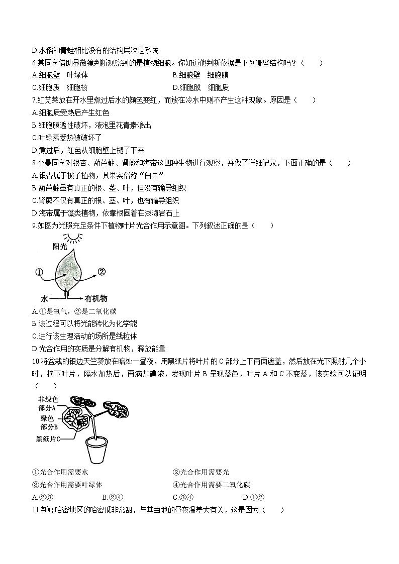 山东省菏泽市东明县2022-2023学年七年级上学期期末生物试题（含答案）02