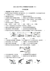 河南省漯河市舞阳县2022-2023学年八年级上学期期末生物试题（含答案）