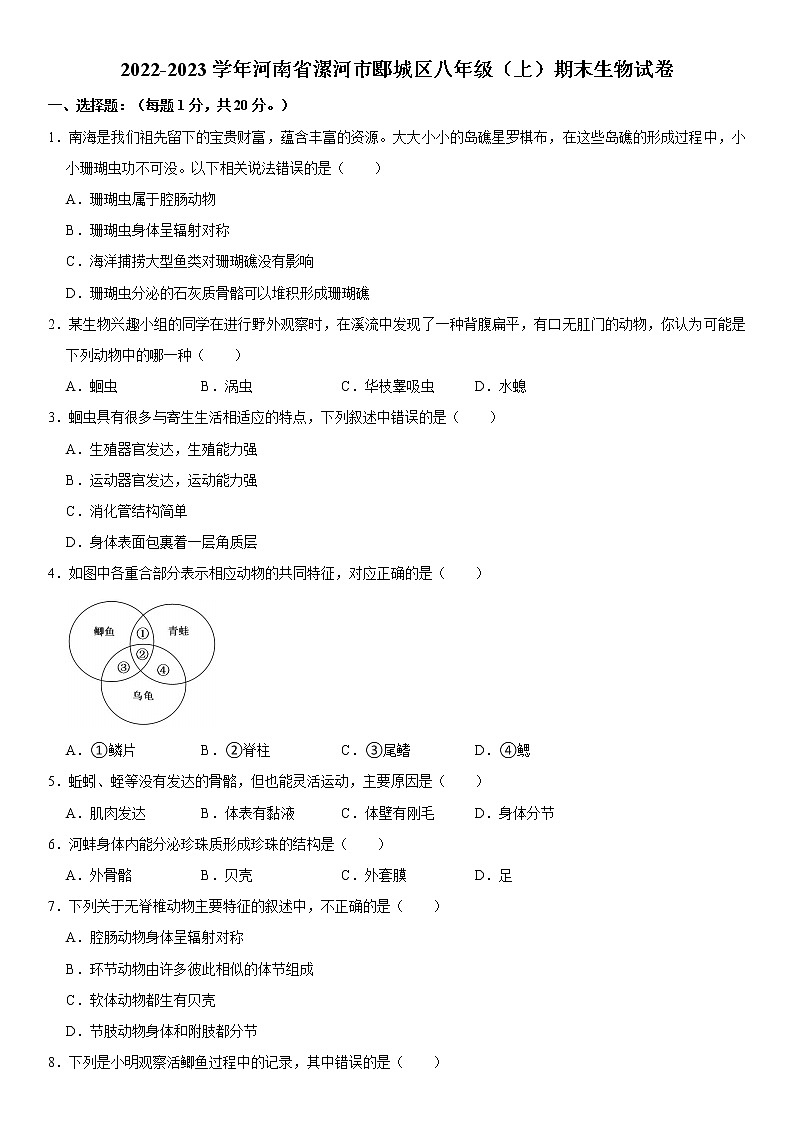 河南省漯河市郾城区2022-2023学年八年级上学期期末生物试卷（含答案）第1页