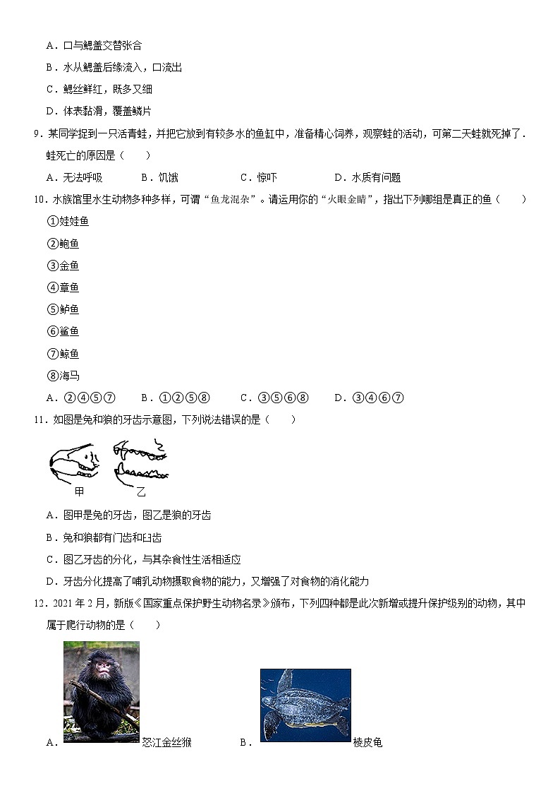 河南省漯河市郾城区2022-2023学年八年级上学期期末生物试卷（含答案）第2页