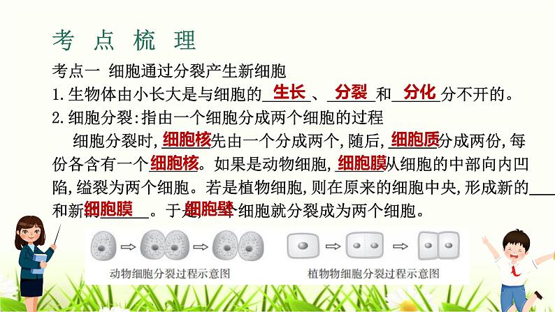 中考生物复习专题一第2章细胞怎样构成生物体课件第3页