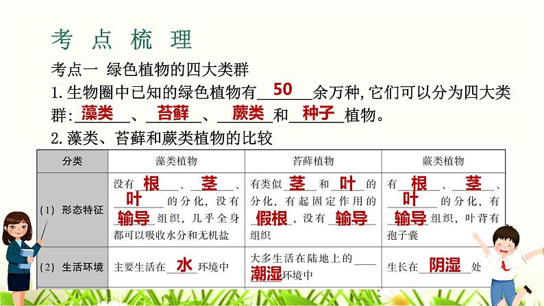 中考生物复习专题二第3章植物的主要类群课件第3页