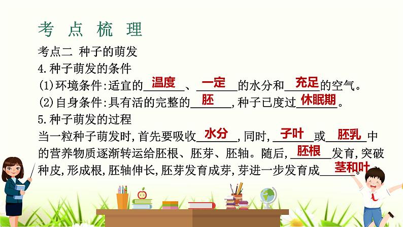 中考生物复习专题四第8章被子植物的一生课件第5页