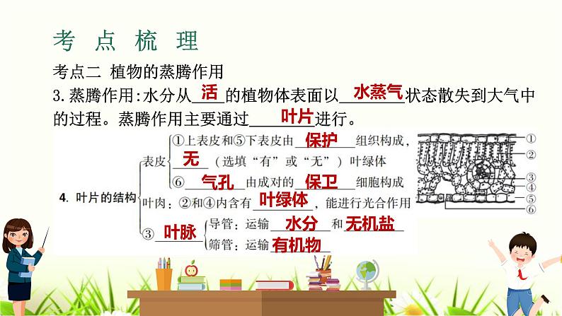 中考生物复习专题四第9章绿色植物与生物圈的水循环课件第4页