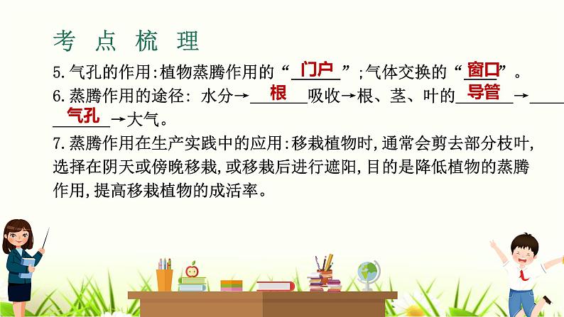 中考生物复习专题四第9章绿色植物与生物圈的水循环课件第5页