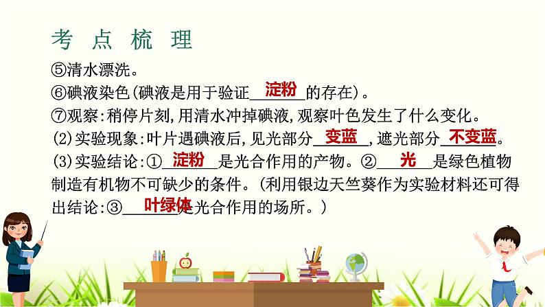 中考生物复习专题四第10章绿色植物是生物圈中有机物的制造者课件第5页