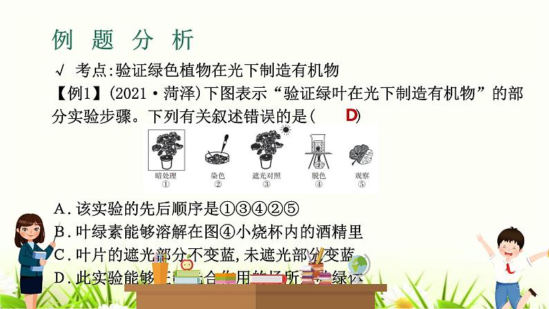 中考生物复习专题四第10章绿色植物是生物圈中有机物的制造者课件第8页