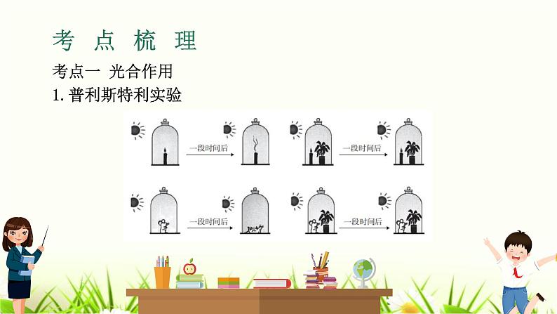 中考生物复习专题四第11章绿色植物与生物圈中的碳—氧平衡课件03