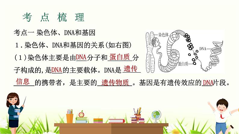 中考生物复习专题六第21章生物的遗传与变异课件第3页