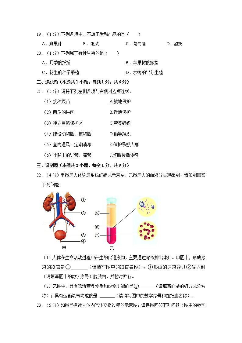 2022年辽宁省沈阳市中考生物试卷含答案03