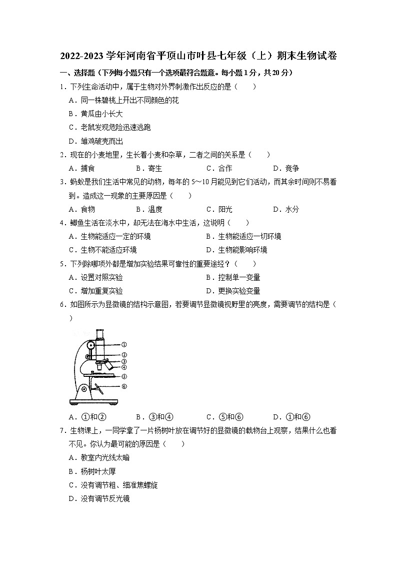 河南省平顶山市叶县2022-2023学年七年级上学期期末生物试卷第1页