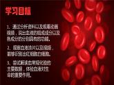 4.1+流动的组织——血液课件