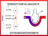 4.1+流动的组织——血液课件