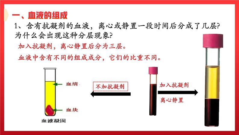 4.1+流动的组织——血液课件06