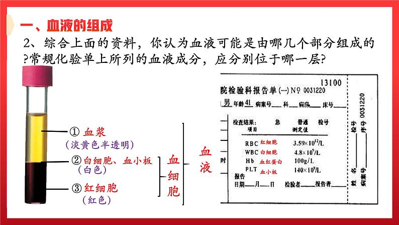 4.1+流动的组织——血液课件07