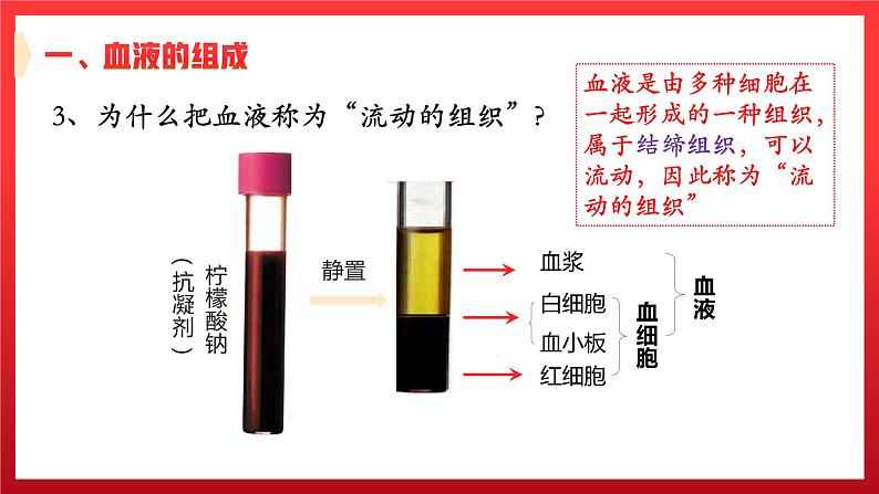 4.1+流动的组织——血液课件08